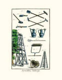 Garden I Prints