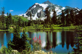 Mount Shuksan Foto
