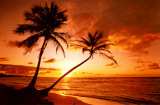 Playa tropical, atardecer Lámina Playa tropical, atardecer Lámina