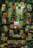 Forêt tropicale Affiches
