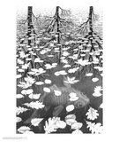 Three Worlds Art by M. C. Escher