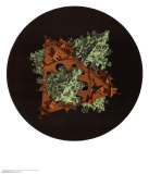 Double Planetoid Print by M. C. Escher