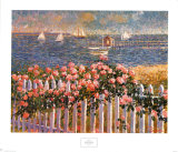 Hyannis Port Roses Posters av Sam Barber Hyannis Port Roses Posters av Sam Barber
