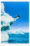 Penguin Posters