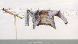 Cool Breeze Posters by Ned Young