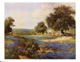 Blue Bonnet Time Prints by Porfirio Jr. Salinas