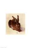 Liebre joven Póster por Albrecht Dürer Liebre joven Póster por Albrecht Dürer