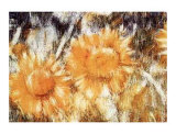 Tournesols Posters par Christian Rohlfs