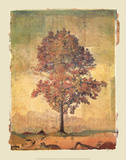 Autumn Tree Study I Posters by Donald Farnsworth