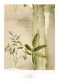 Vizcaya Ferns II Print by Muriel Verger