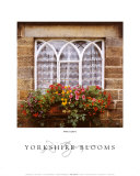 Flores de Yorkshire Láminas por Dennis Barloga Flores de Yorkshire Láminas por Dennis Barloga