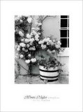 Iceberg Roses Poster by Monte Nagler