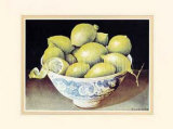 Limes Posters by Galley 