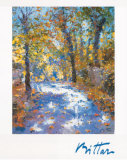 Lumiere d'automne Posters by Pierre Bittar