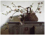 Apple Blossoms Posters by Pauline Eblé Campanelli