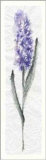 Purple Iris Prints by Ingrid Sehl