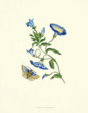 Garden Treasures I Affiches