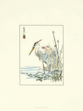 Oiseau oriental VII Posters