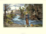 Trout Fishing Prints