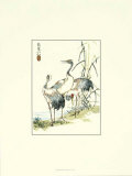Oiseau oriental VI Affiches