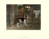 Bull Dog Art
