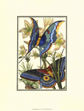 Papillon V Affiches par William Henry Pearson