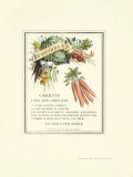 Carrot Prints by James 