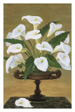 Calla Lilies Reprise Prints Calla Lilies Reprise Prints