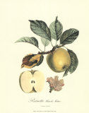 Apple Poster von Pierre-Antoine Poiteau