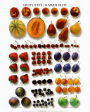 Summer Fruits - Poster