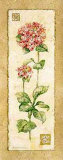 Hydrangea Art by Pamela Gladding Hydrangea Art by Pamela Gladding