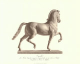 Horse, Left Panel Affiches par Antonio Canova