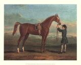Racehorse Shakespeare Affiches par R. Roper