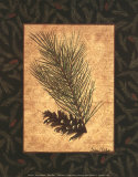 White Pine Posters by Susan Clickner