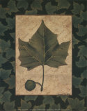 Sycamore Leaf Prints by Susan Clickner