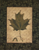 Sugar Maple Leaf Prints by Susan Clickner