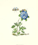 Tesoros del jardín X Póster por Maria Sibylla Merian Tesoros del jardín X Póster por Maria Sibylla Merian