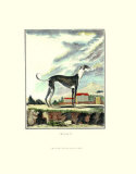 Greyhound Prints by Georges-Louis Buffon