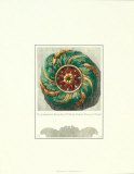 Antique Rosette I Poster by Carlo Antonini