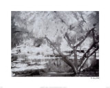 Japanese Garden Prints by Dennis Dunton