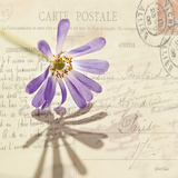 Vintage Letter and Purple Daisy Affiches par Deborah Schenck