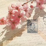 Vintage Letters and Cherry Blossoms Posters by Deborah Schenck