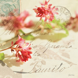 Vintage Letters and Pink Blossoms Arte por Deborah Schenck Vintage Letters and Pink Blossoms Arte por Deborah Schenck