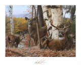 Autumn's Majesty Plakater af Kevin Daniel