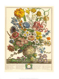 March Prints by Robert Furber