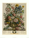Juni Posters av Robert Furber Juni Posters av Robert Furber