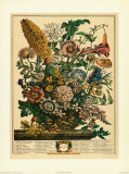 August Posters by Robert Furber