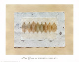 Blue Beech Leaves IV Prints by Nan Goss