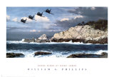 Volando sobre Point Lobos Láminas por William S. Phillips