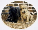 The Outsider Print by Nigel Hemming The Outsider Print by Nigel Hemming
